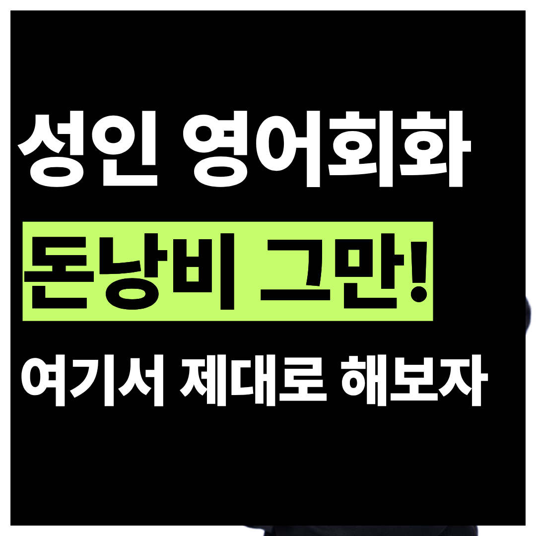 경기 고양시 일산동구 풍동 주부 영어회화 화상과외 2