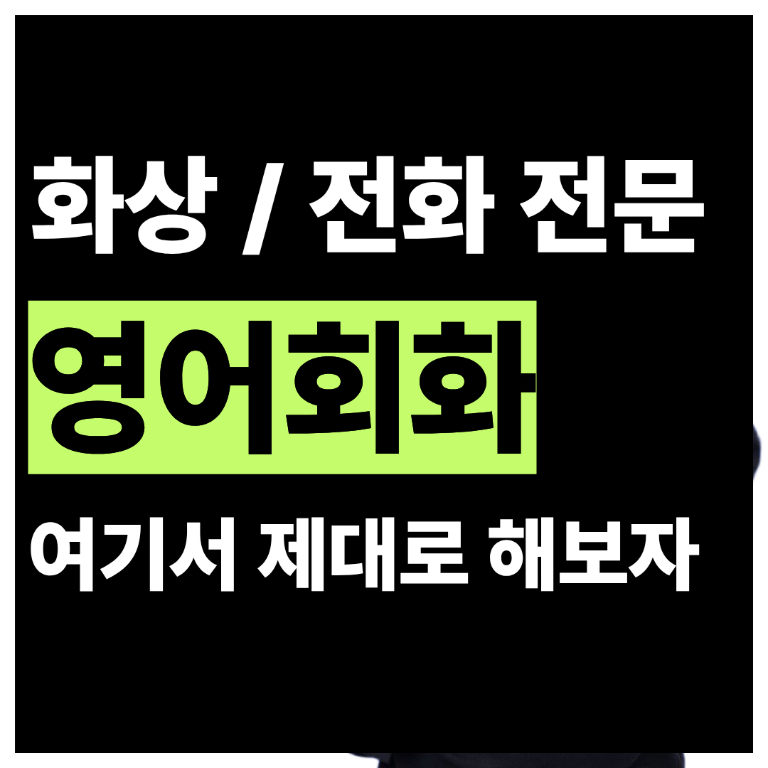 경기 고양시 일산동구 풍동 주부 영어회화 화상과외 3