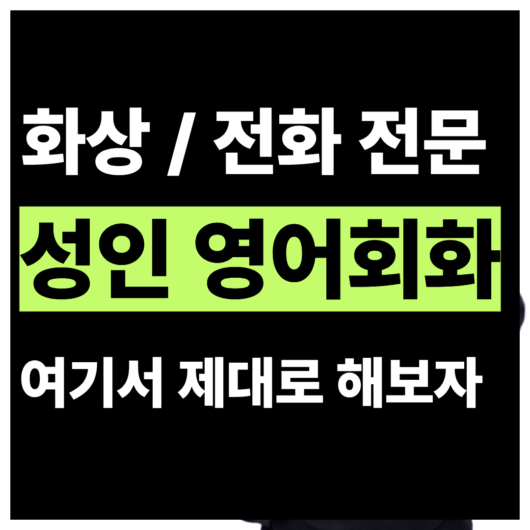 경기 고양시 일산동구 풍동 주부 영어회화 화상과외 4