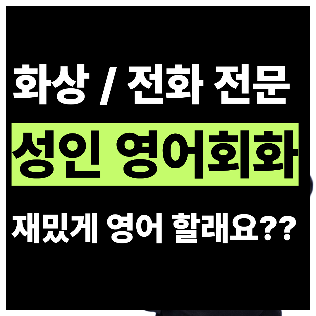 경기 고양시 일산동구 풍동 주부 영어회화 화상과외 5